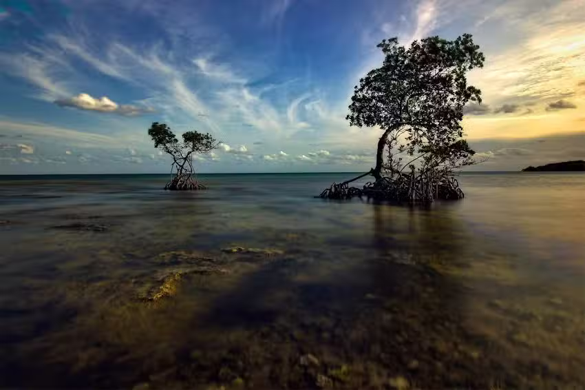 Capt. Clint Moore | Excursions