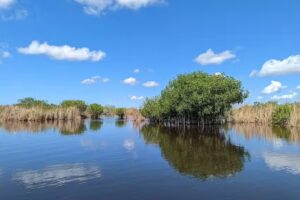 Capt Mitchs Everglades private Airboat Tours