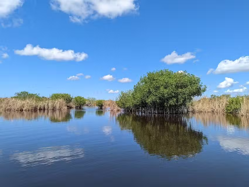 Capt Mitchs Everglades private Airboat Tours