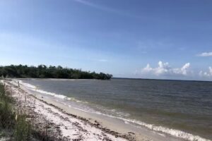 Capt Ron’s Awesome Everglades Adventures