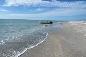 Captain Brian On The Water – Guided Boat Eco Tours