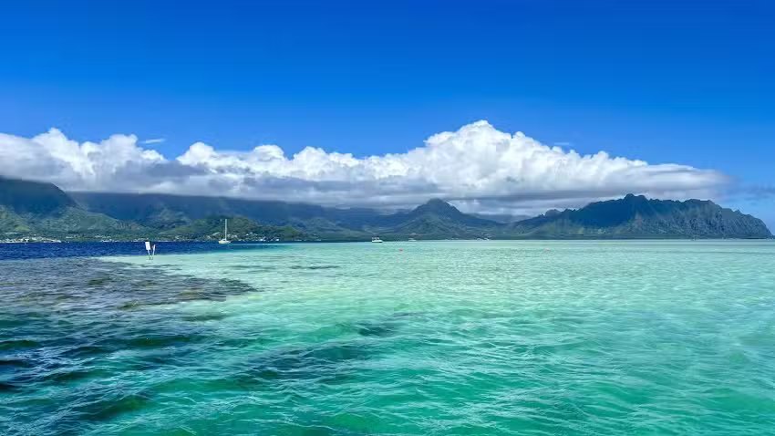 CAPTAIN BRUCE Kaneohe