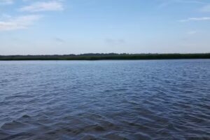 Captain Jack’s Kiawah Sailing and Dolphin Watching