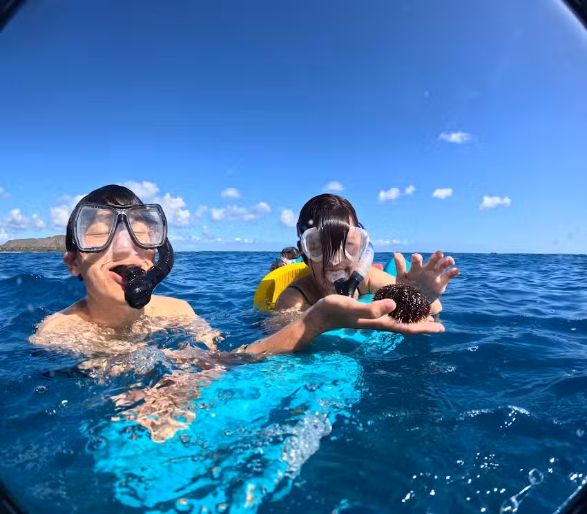 Captain Max Boat Tours