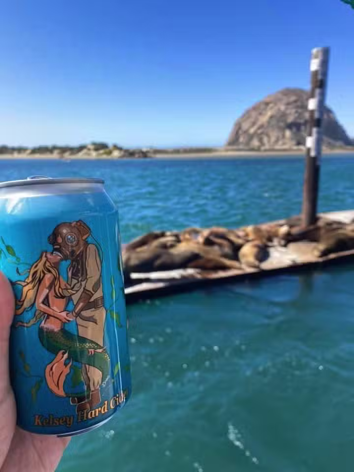 Captain Stew&rsquo;s Bay Cruise