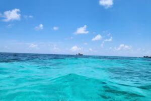 Captain Stewys Charters