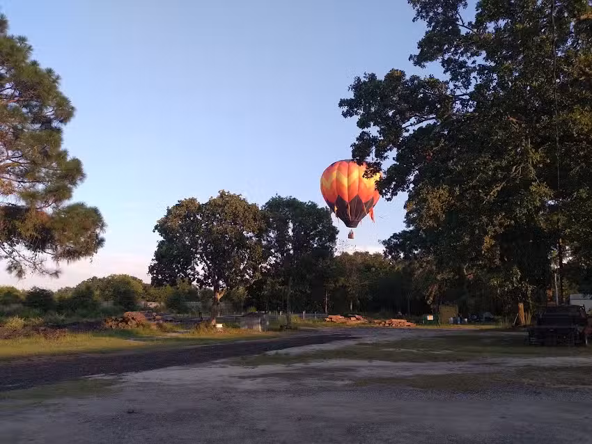 Captain Telegram&rsquo;s Trolley Services