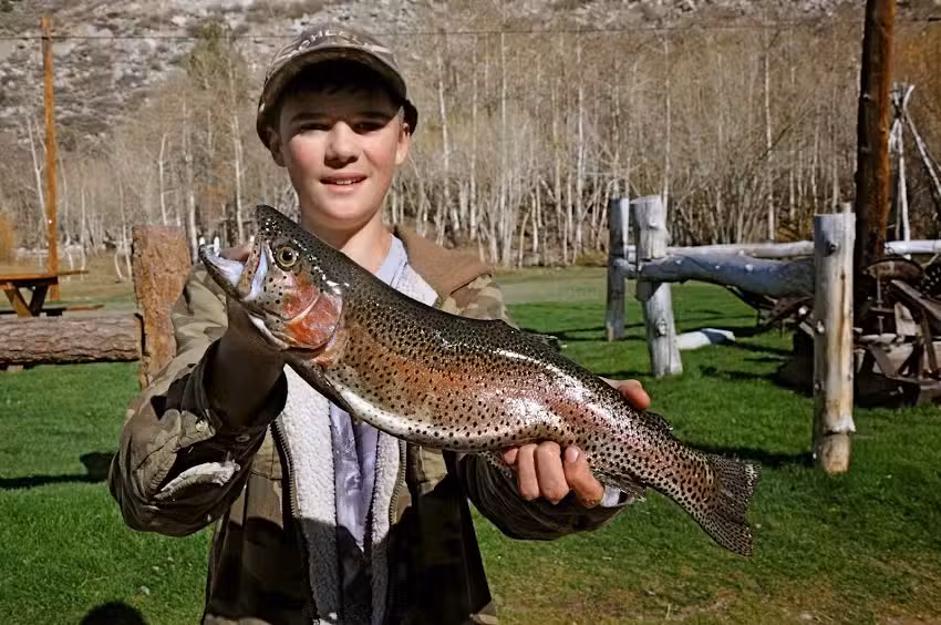 Cardinal Village Resort