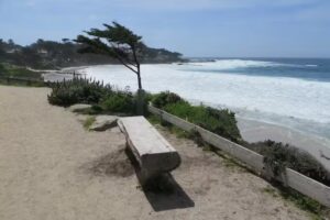 Carmel Visitor Center (Suite 219A)