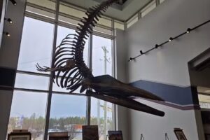 Caroline County Visitor Center