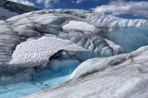 Carols Escapes – Cruise Planners