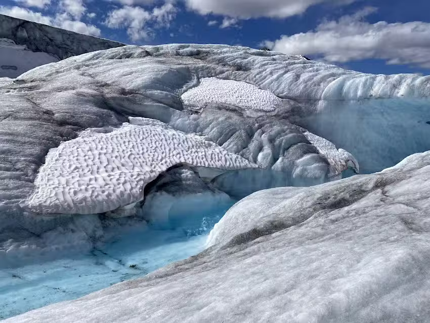 Carols Escapes – Cruise Planners