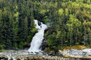 Carpe Diem Excursions