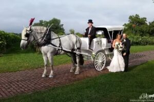 Carriage Limousine Service LLC (Horse Drawn Carriages)