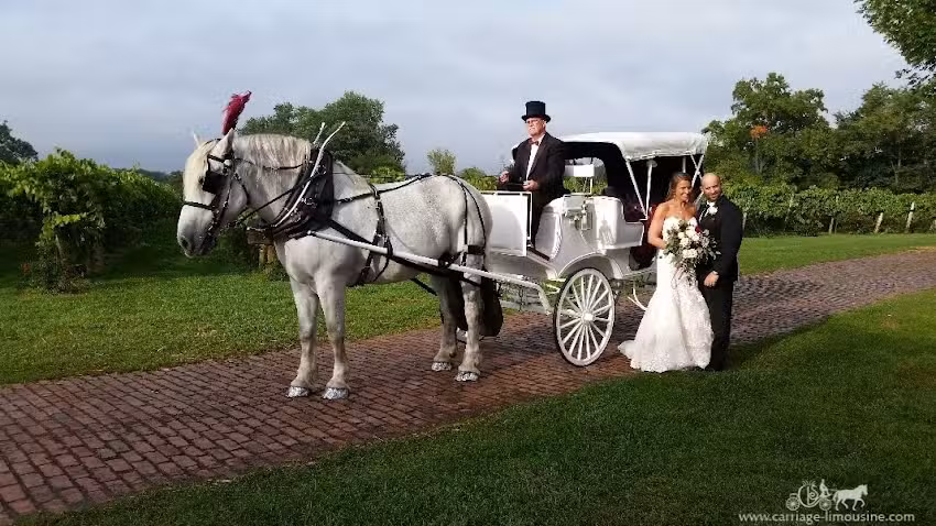 Carriage Limousine Service LLC (Horse Drawn Carriages)