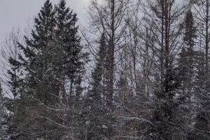 Cascade Welcome Center