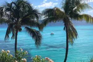 Castaway Cruises & Travel