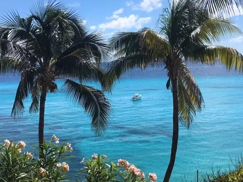 Castaway Cruises & Travel