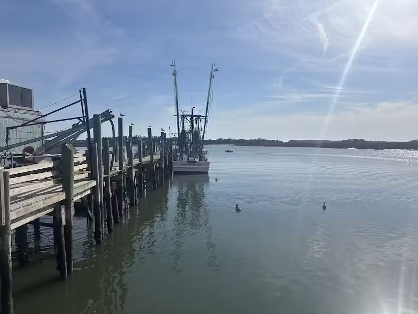 Castaway Island Excursions