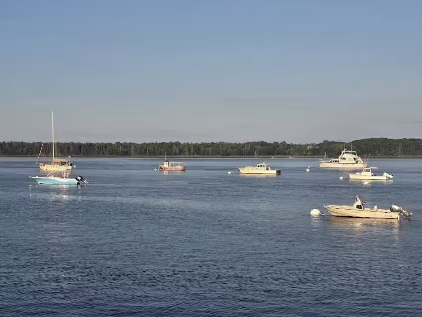 Castine Kayak Adventures