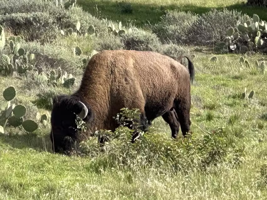 Catalina Adventure Tours