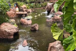 Cate Travel with Kingdom Destinations