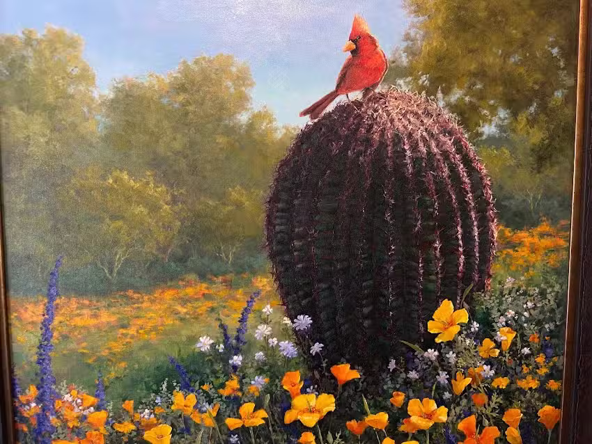 Cave Creek Tourism Bureau