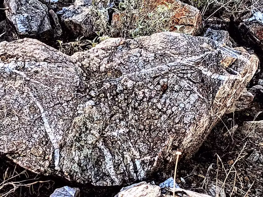 Cave Creek Trail Rides