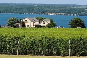 Cayuga Lake Wine Trail