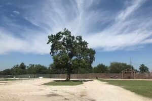 Cedar Country Rentals