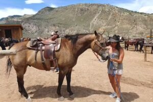 Cedar Mountain Trail Rides