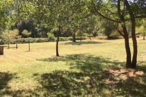 Cedar Pines RV Resort