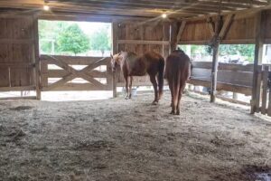 Cedar Valley Stables Inc