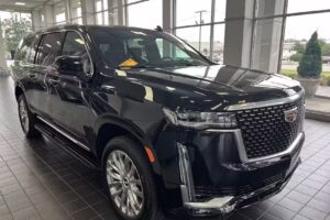 Celebrity Limo & Bus Charters Bourbon/Distillery Tours