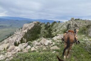 Centennial Outfitters