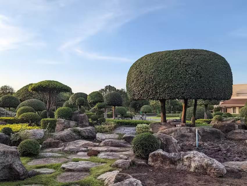 Cerulean World Travel Vacations, Luxury Travel Agency