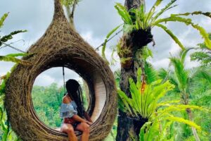 Champagne and Cabanas Travel