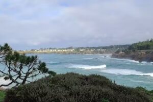 Chapman Point Cottage