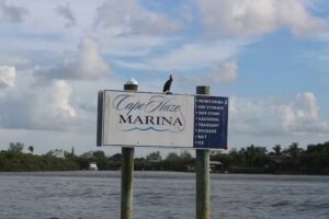 Charlotte Harbor Tours