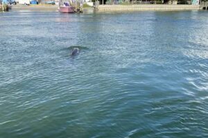 Charter Finders LLC.