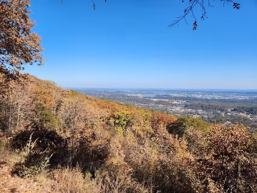 Chattanooga Travel Services