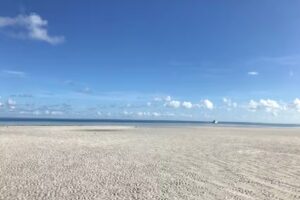 Cheap Snorkeling Key West