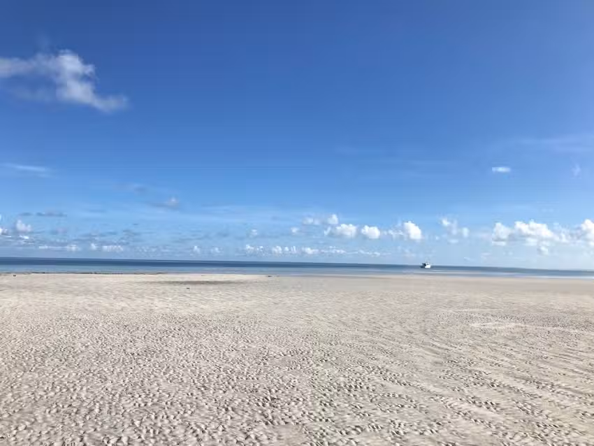 Cheap Snorkeling Key West