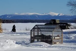Chesuncook Lake House and Cabins