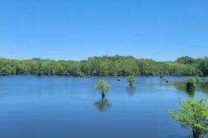 Chicot State Park
