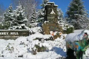 Chimney Hill Rentals