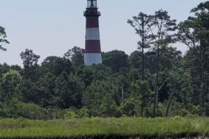 Chincoteague Island Adventures