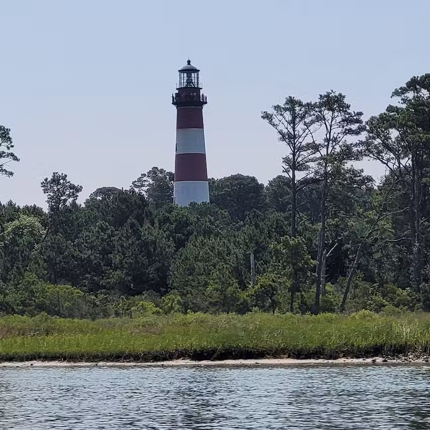 Chincoteague Island Adventures