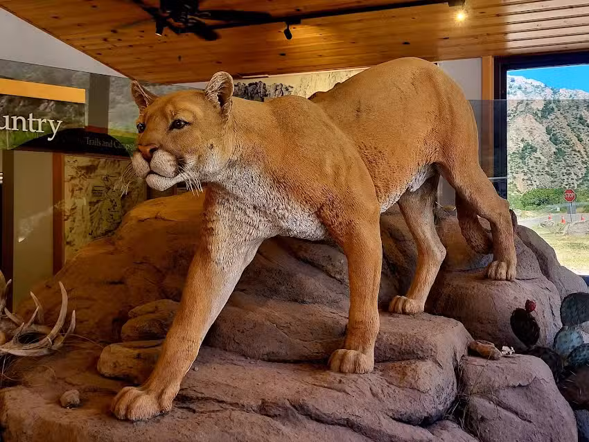 Chisos Basin Visitor Center