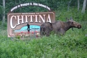 Chitina Guest Cabins